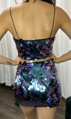 Sequins Skirt