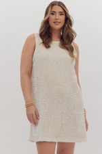 Load image into Gallery viewer, Sequins Dress
